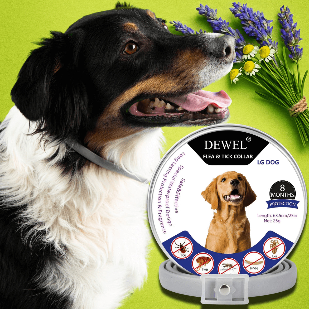 DEWEL Natural Collar: Built for Daily Flea and Tick Defense DEWEL Natural Collar: Built for Daily Flea and Tick Defense